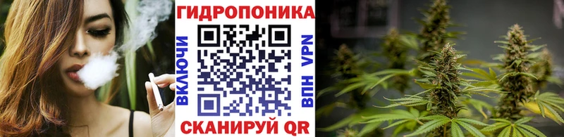 Шишки марихуана AK-47  hydra tor  Звенигород 